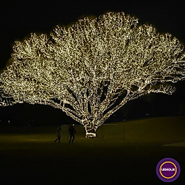 10 METRE 100 LEDLİ SAÇAK YILBAŞI SÜSÜ