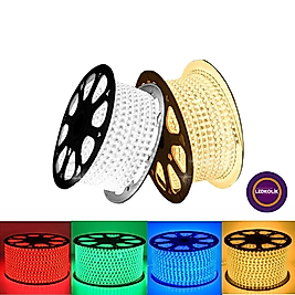 220volt 50 Metre Dış Mekan Hortum Led