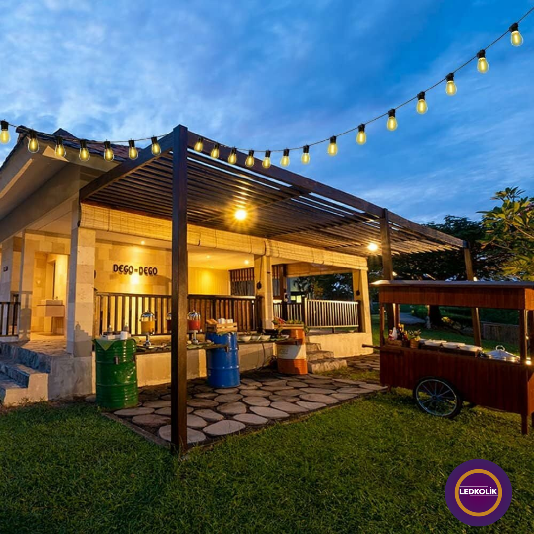 CARNAVAL EKLENEBİLİR  DIŞ MEKAN SARMAŞIK YILBAŞI AĞAÇ VE BAHÇE AYDINLATMA  E27 DUYLU