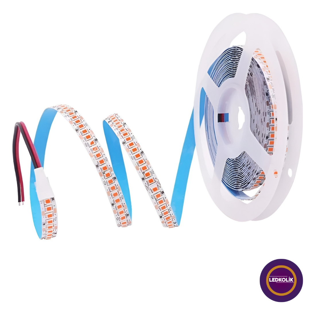 12Volt 5 Metre İç Mekan 240 Ledli Şerit Led